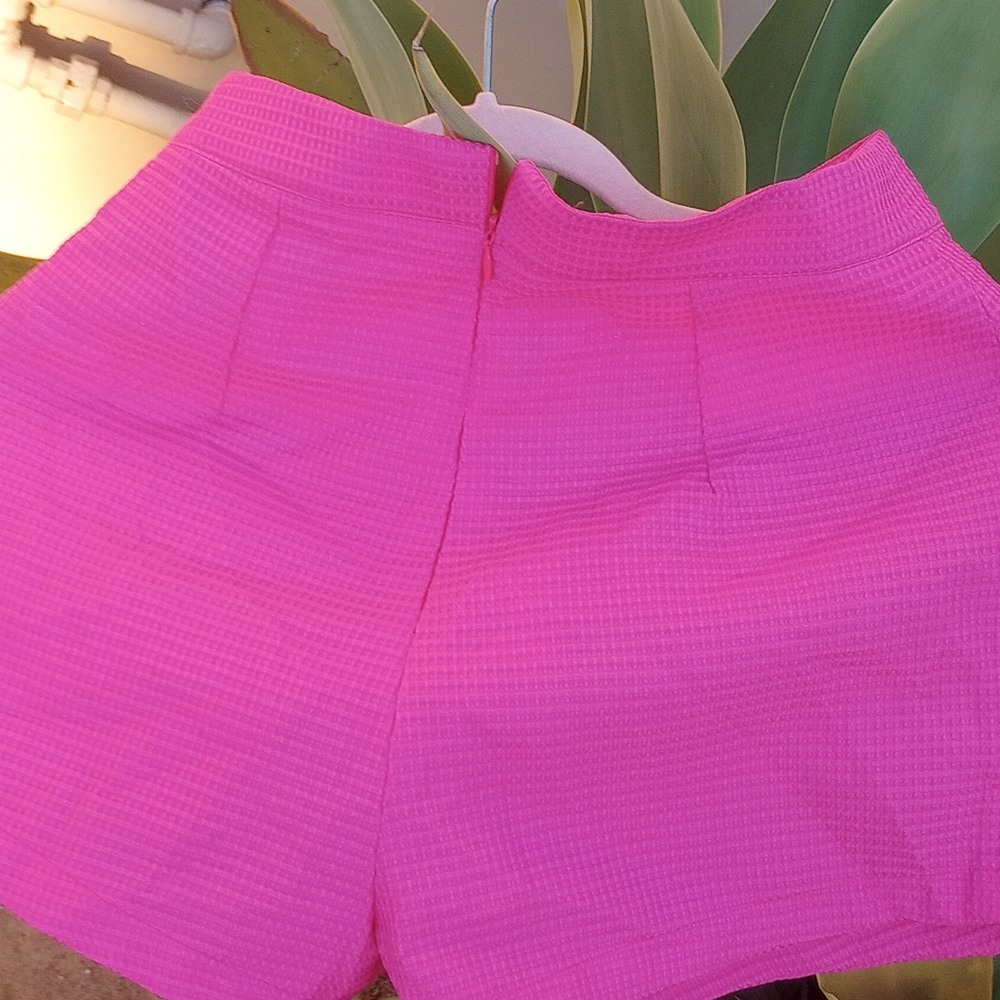 Nutshell - Picture 3 of 10